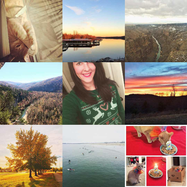 Figure 2. A collage of nine Instagram images. Row 1 (L to R): My cat; Lake Fayetteville, AR; Rio Grande Gorge, NM. Row 2 (L to R): Big Bluff, AR; me in a tacky Christmas sweater; sunset in Fayetteville, AR. Row 3 (L to R): Fall colors in Fayetteville, AR; surfers in Seal Beach, CA; my cat's first birthday
