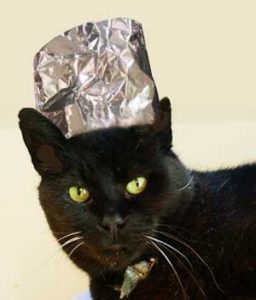 Cat with tinfoil hat