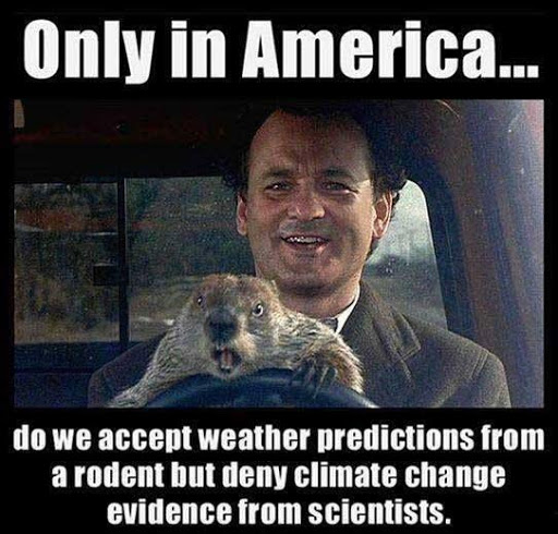 Only in America meme