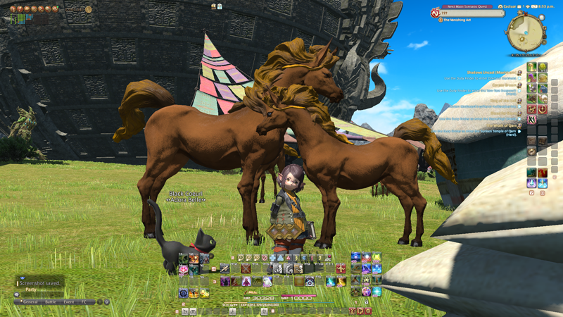 A screenshot from the video game Final Fantasy XIV showing the author's character, a female halfling in a green coat, standing in a grassy field by some horses