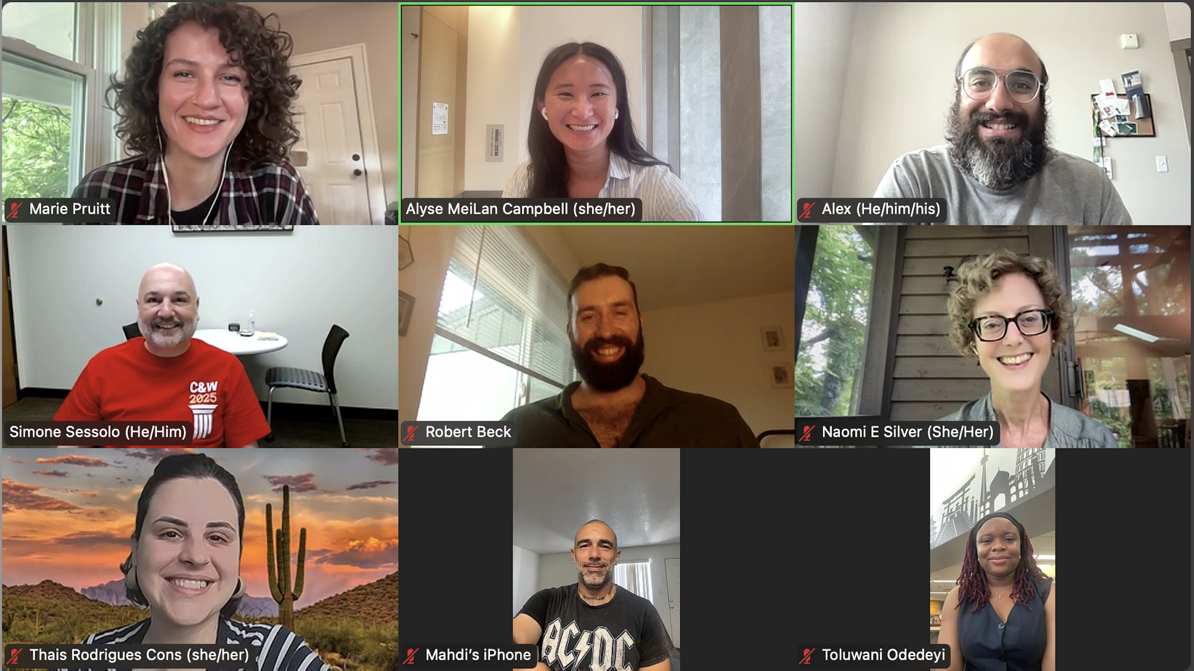 Screenshot of the DRC Fellows from the final 2024-25 DRC Meeting 