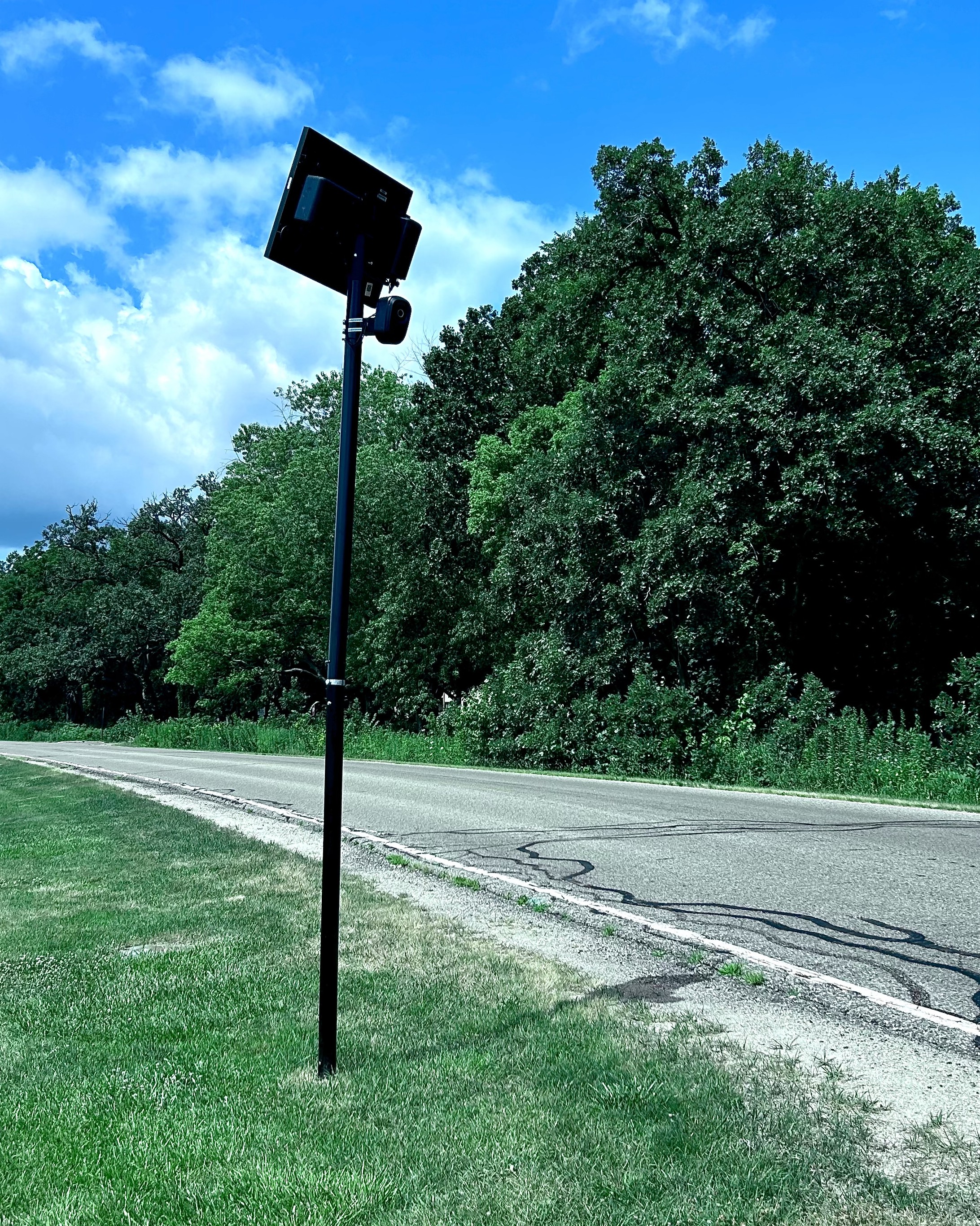 image description: a photo of a Flock camera on a tall pole pointed at an angle towards a road. The road runs behind the camera and a copse of trees behind the road.