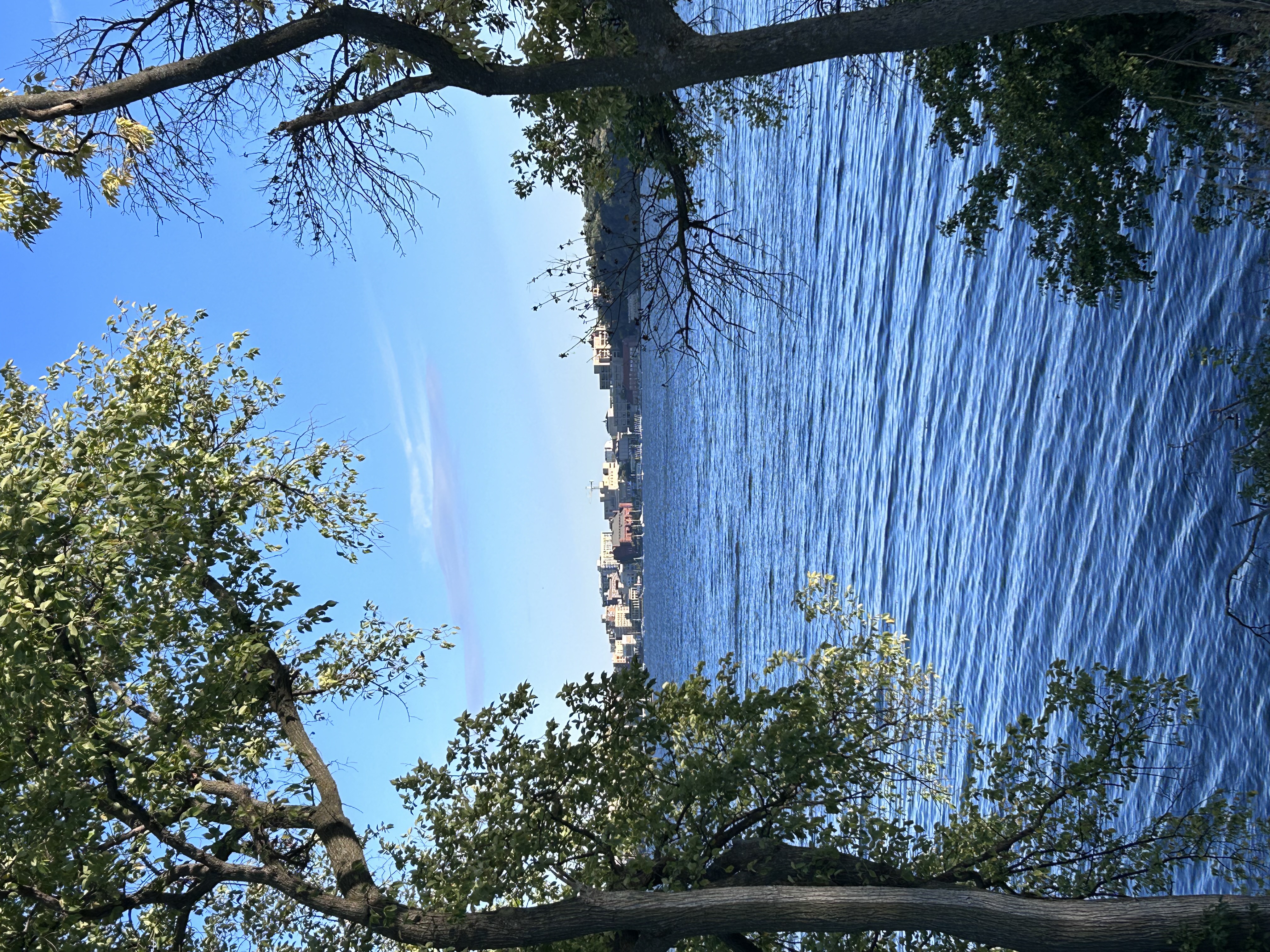 image description: photo of Lake Mendota from Picnic Point. Between two trees, university/downtown Madison buildings sit on the far edge of the lake