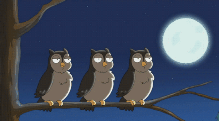 GIF of three owls. First owl says 'who,' and the second owl says 'who.' The third owl says 'whom.'