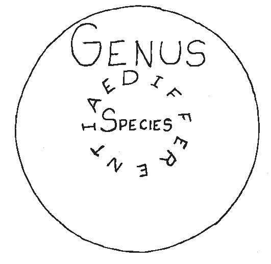 Drawing depicting the relationship of genus, differerentiae, and species in traditional definition.