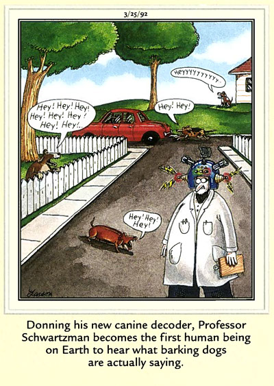 Far Side comic, 3/25/92. A scientest wearing a gadget helmet understands dog speech. All the dogs around him say "hey!"